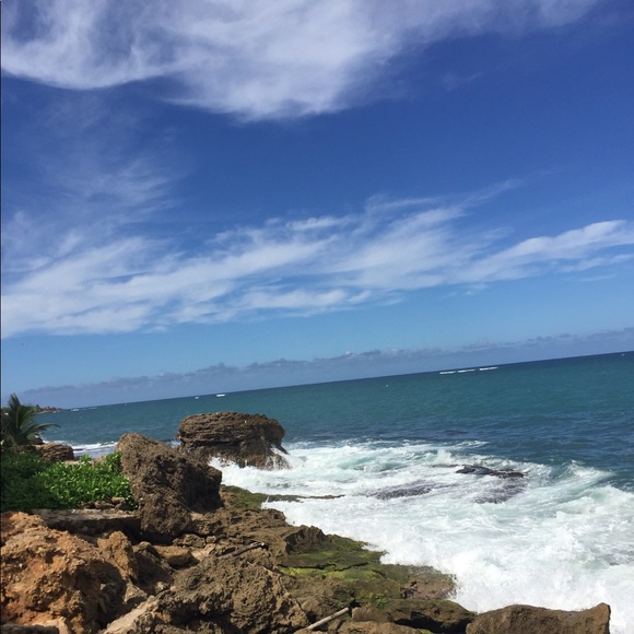 🌻Meet your Posher, Sophia - Picture 4 of 8